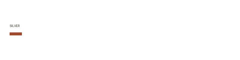SILVER logo